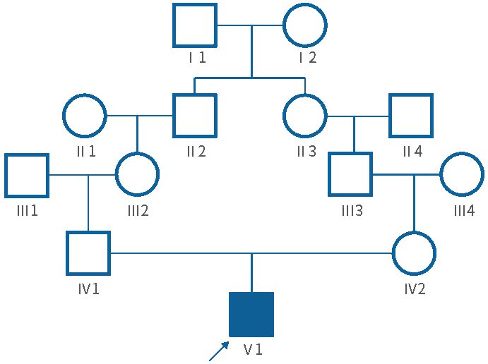 案例分享迷惑的家系图下