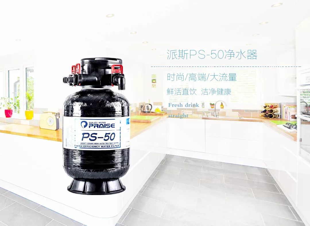 派斯金滤媒系列矿物质水净水器