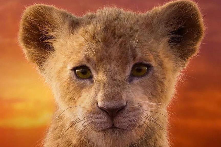 同样也遭遇了最最艰难的挑战,最终辛巴成长为了一位合格的森林之王