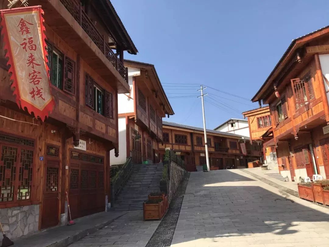 看点丨厉害了我的马鬃