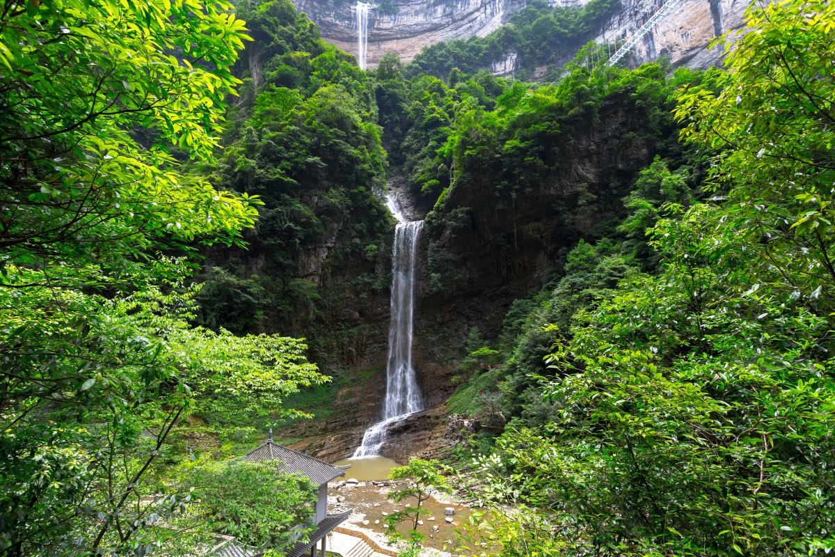 两大奇观加持宜昌三峡竹海有多秀