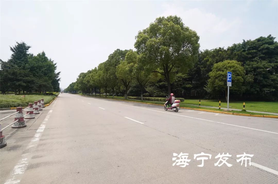 6江南大道(九虎路至农丰路)为有效缓解该路段周边上城蝶园小区,丽都