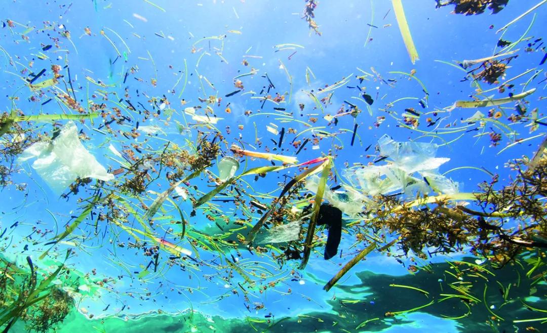 没想到因为垃圾分类,我又有了买表的理由!_海洋