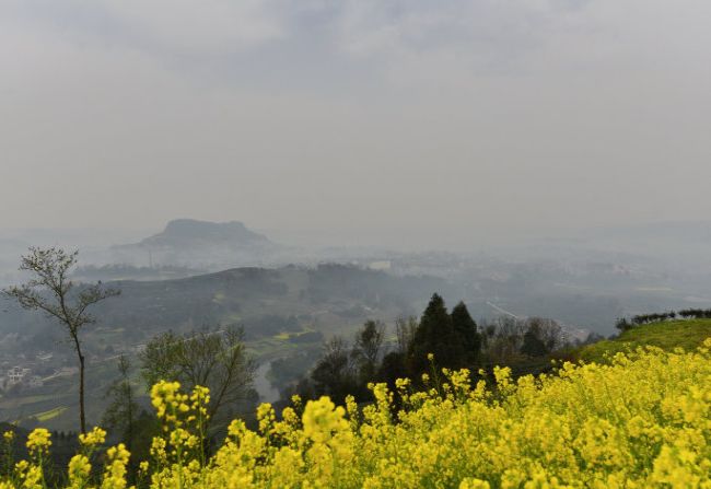 眉山市视高寨子山公园图片