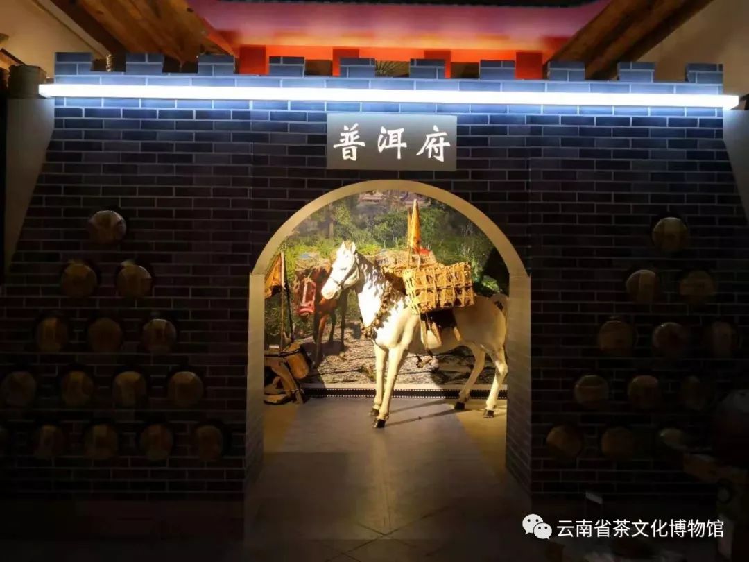 会员纵览27云南省茶文化博物馆