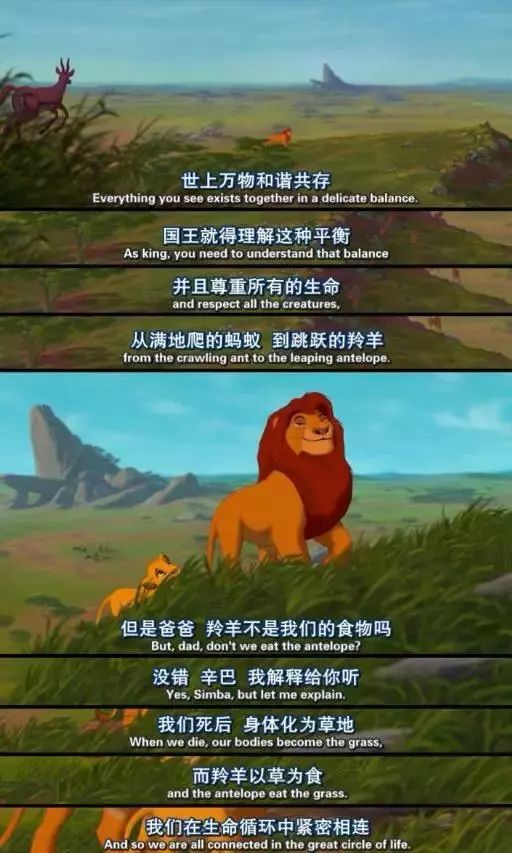 真狮版《狮子王》不仅没有真人,也没有真狮子?