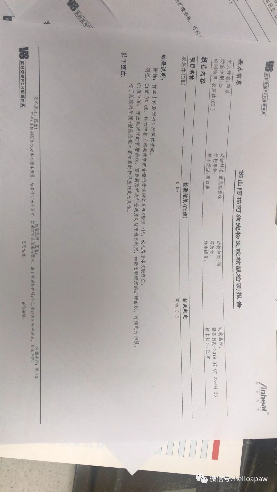 与死亡赛跑的速递我们从未如此期待明天的来临