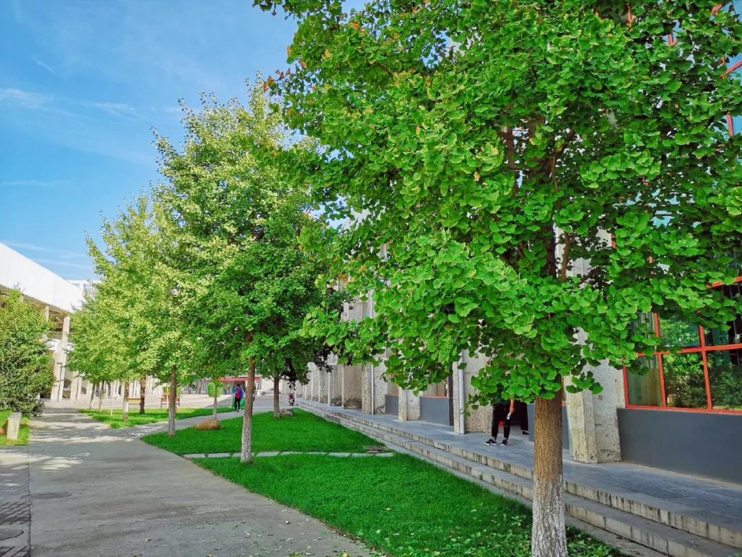 MV首发|在华清 收获改变自己的无限可能