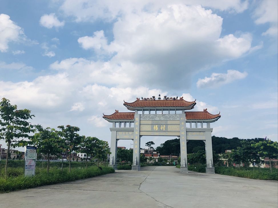 江林茶油鸡,炽鸭,原生态番薯藤.