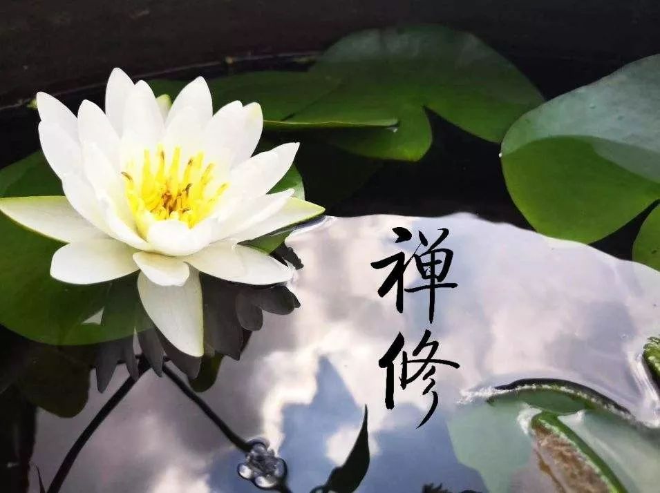 禅修,印度语的意思是"心灵的培育",就是把心灵中的良好状态培育出来.