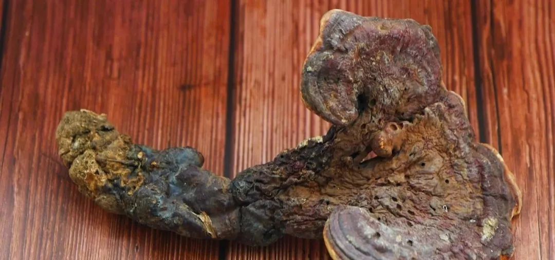 失眠健忘头晕疲倦灵芝粉蒸肉帮你来改善