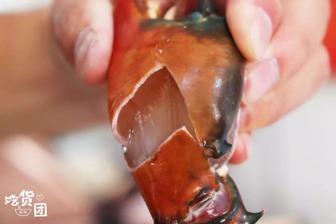 晶莹剔透的肉质,肥美有质感,才是好螃蟹的表现!