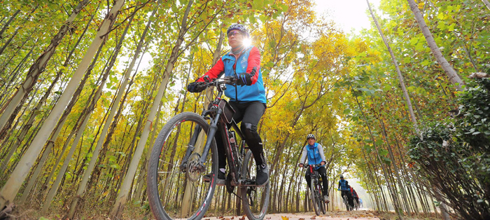 森林城市:涂抹"绿"生活