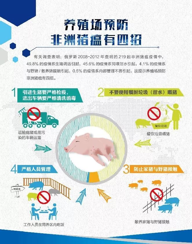 执业兽医考试报名动态解析：了解最新变化与备考策略