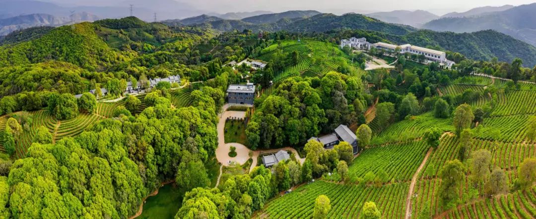 峨山云茶山庄酒店图片