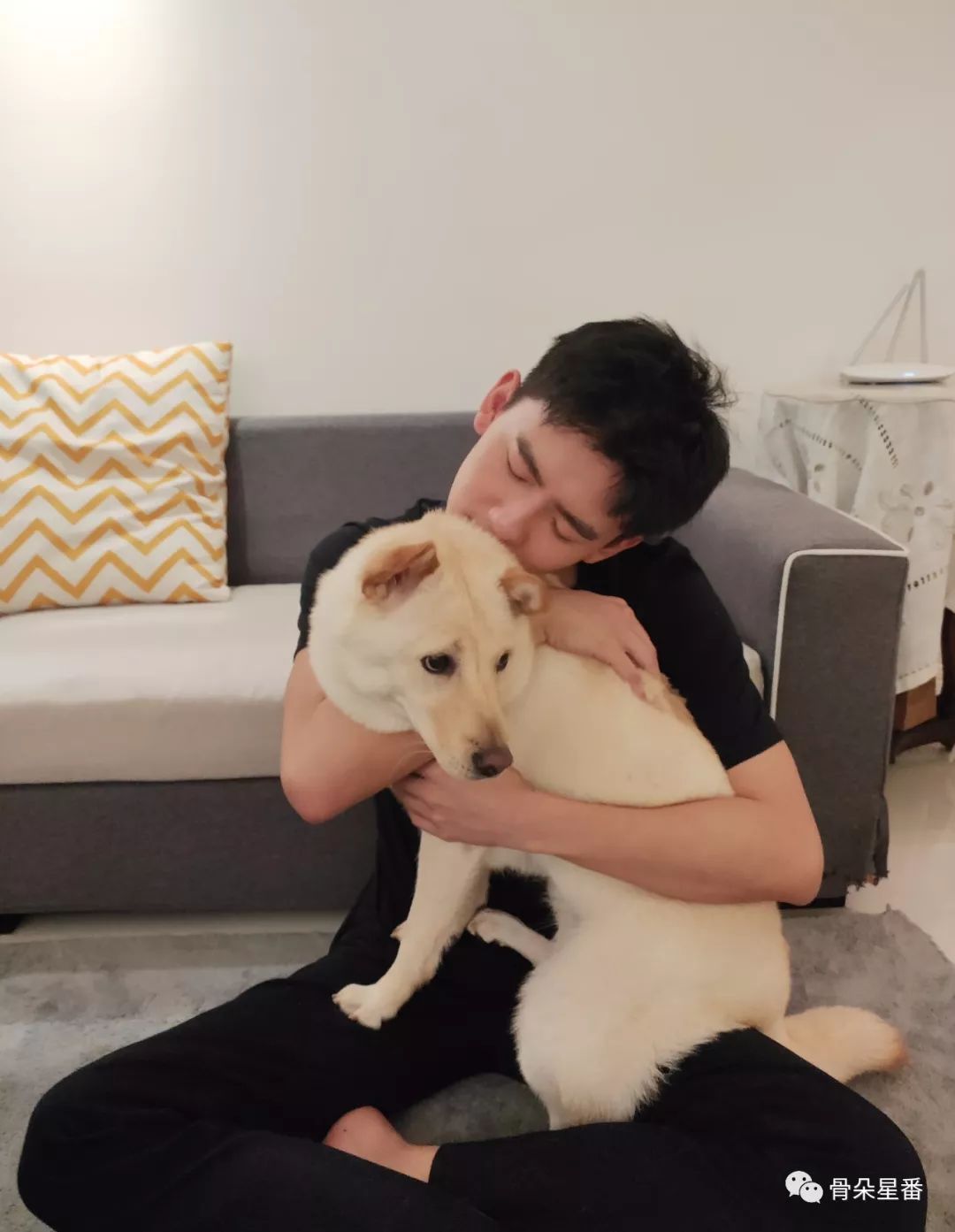 独家专访丨赵顺然我接受观众对盛淮南的一切评价