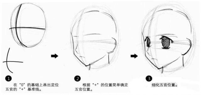 教你运用十字参考线来绘画人物五官!