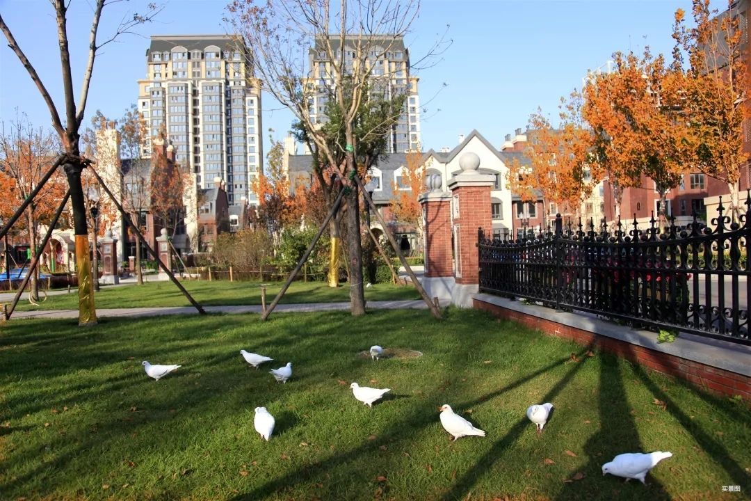 倍儿有范天津贝肯山丨住宅系列匠星之作