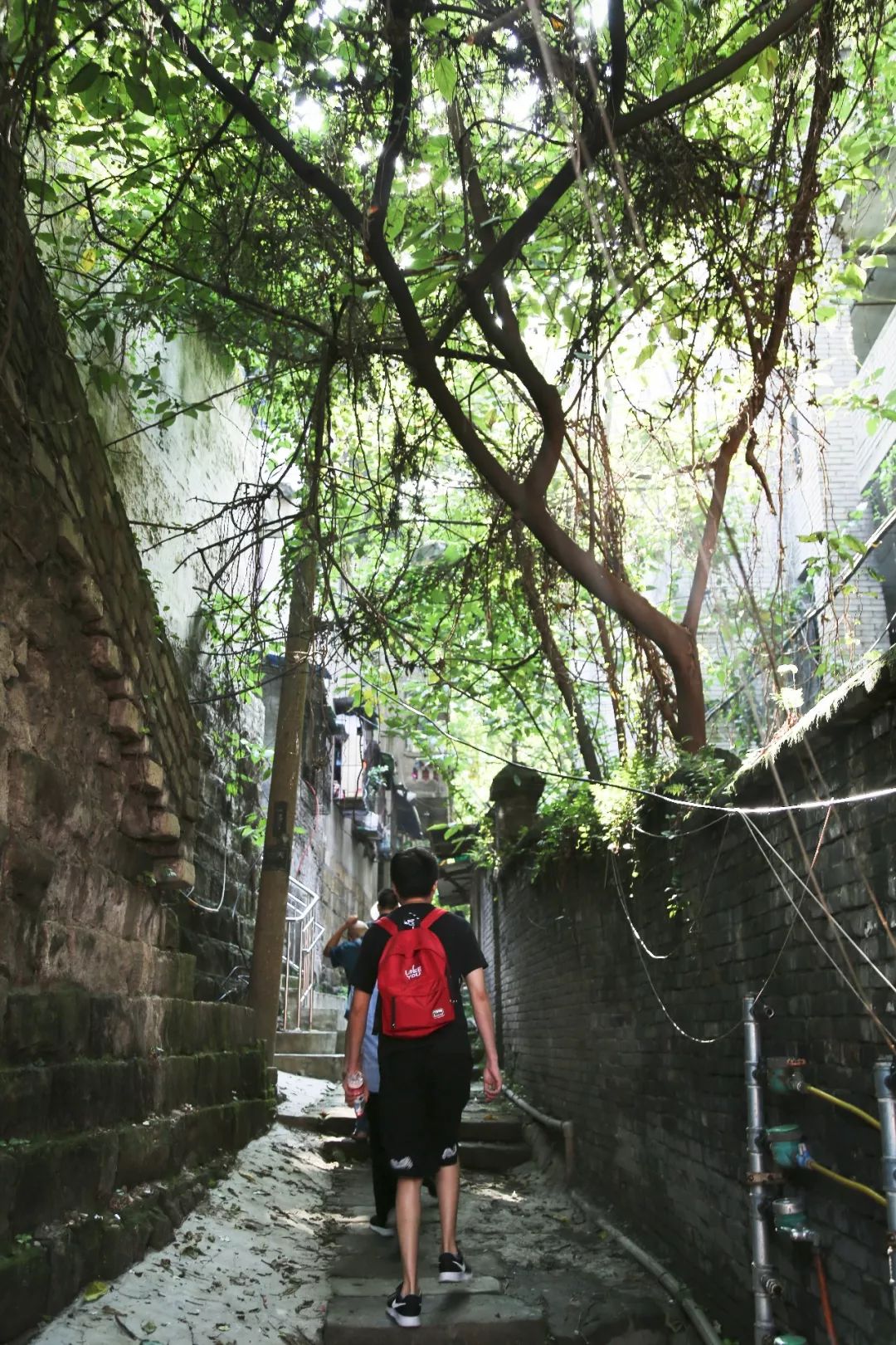 深圳市南山小巷子图片