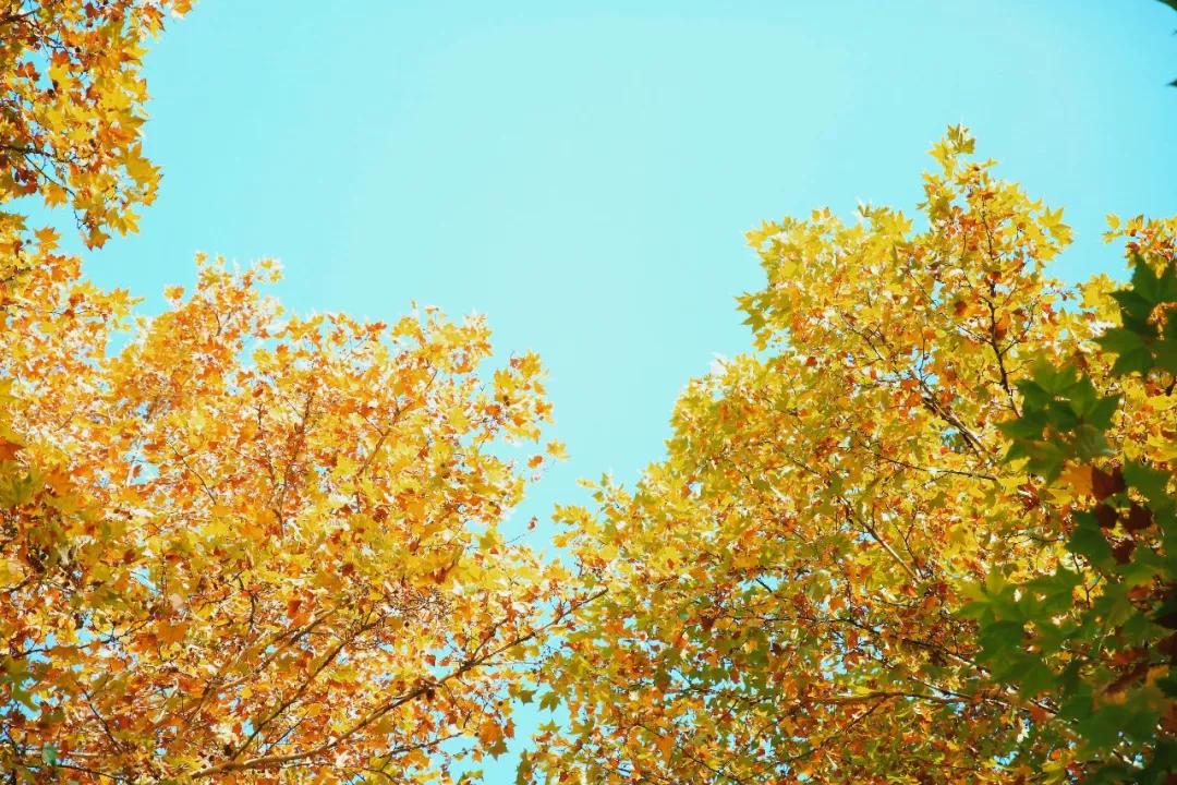 MV首发|在华清 收获改变自己的无限可能