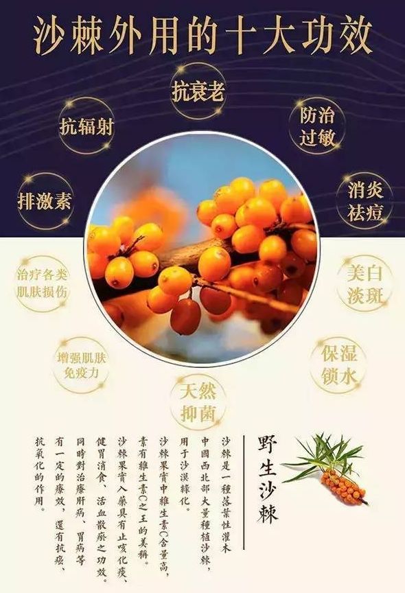 沙棘如何食用图片