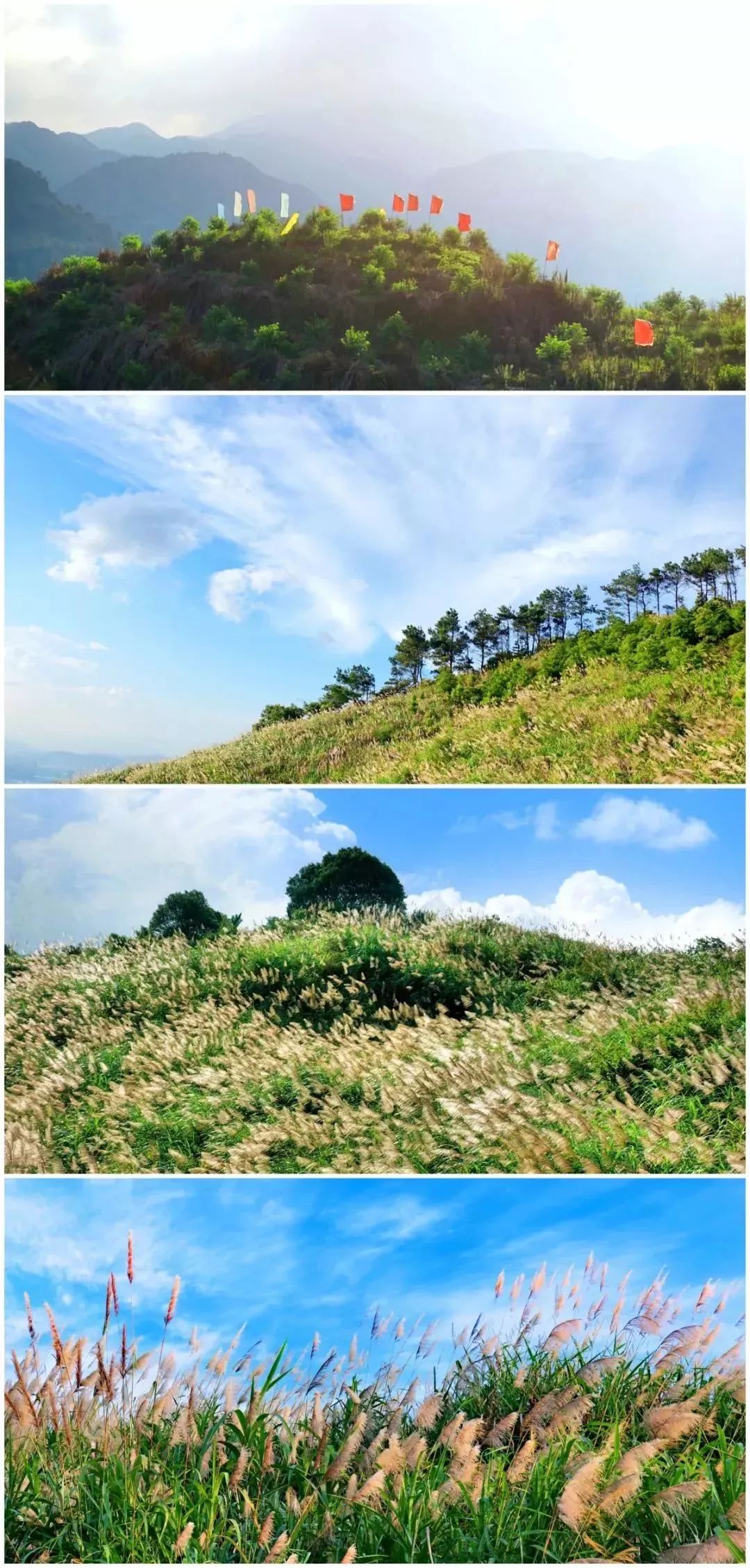 这里环境幽静,山水相伴 登高望远 远处黛色群山,如一幅泼墨山水画般