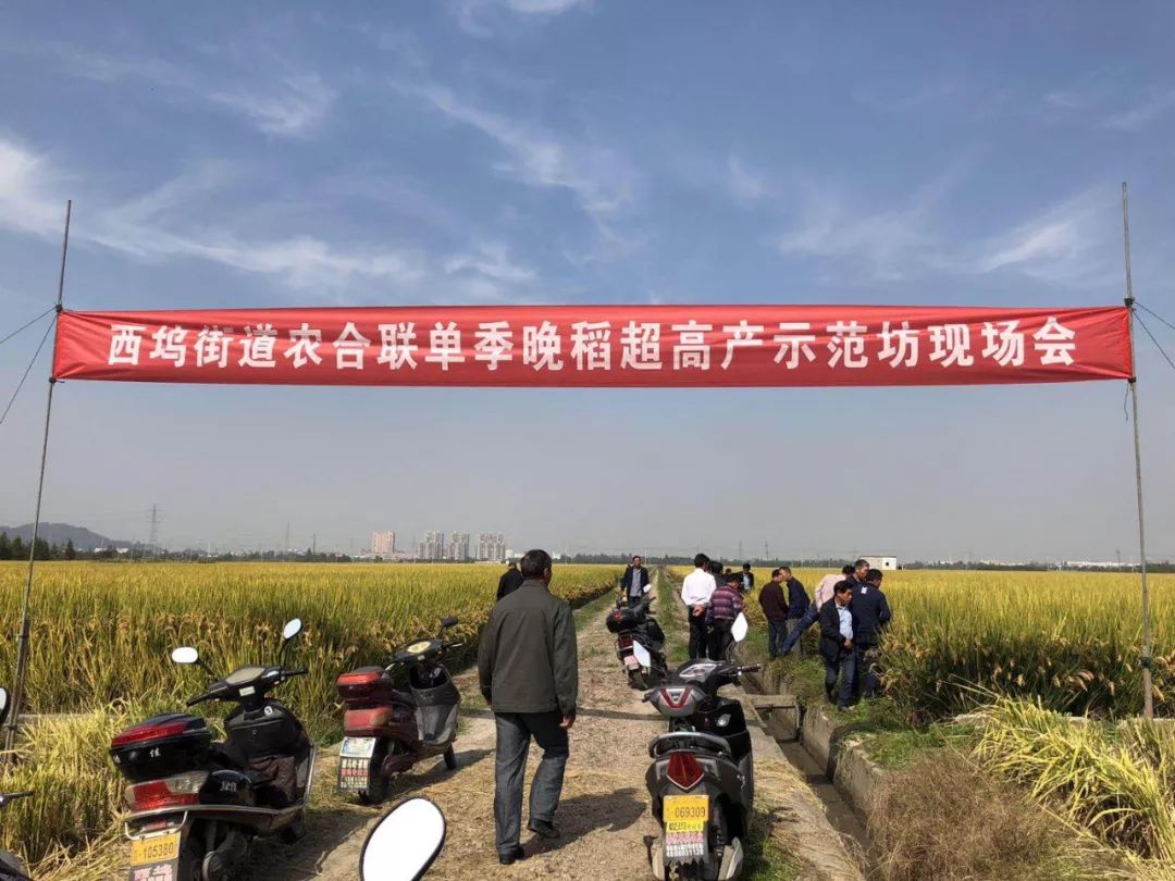 西坞街道"三位一体"切实保护耕地地质