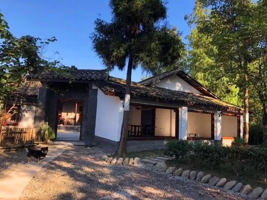 小鱼小米的漆艺梦七月在箭塔村感悟漆之喜悦