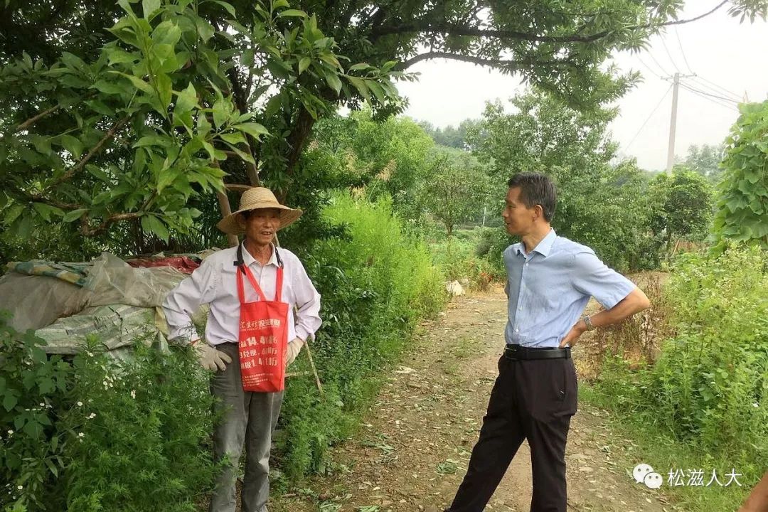 赵茂安调研督导洈水镇九岭岗村脱贫攻坚工作