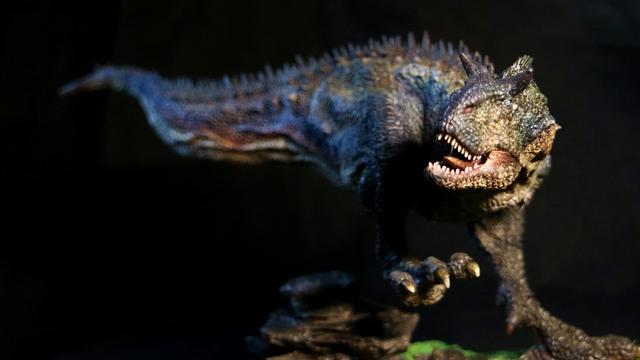 食肉牛龙扑食场景