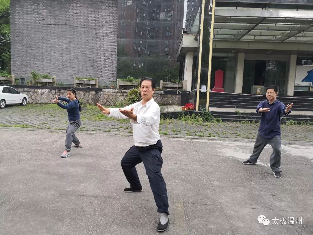 陈鑫学拳须知浅解9条练好太极拳的秘诀