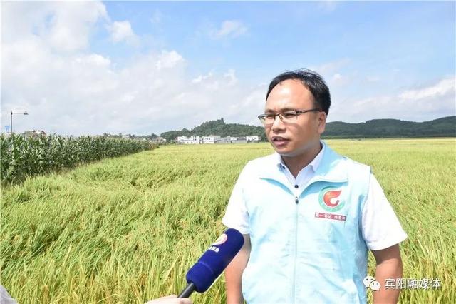 陈星河深知,发展壮大村集体经济,才能巩固恭村脱贫成果.