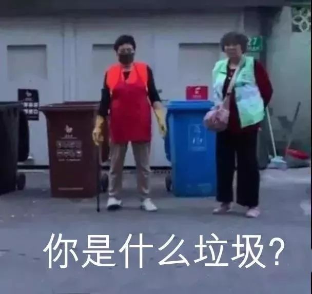 你是什么垃圾垃圾是rubbishgarbage还是trash