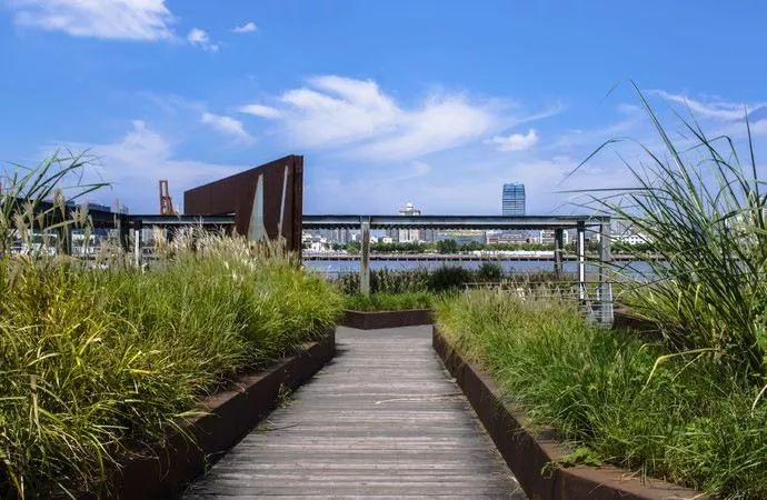 城市小型人工湿地公园案例研究