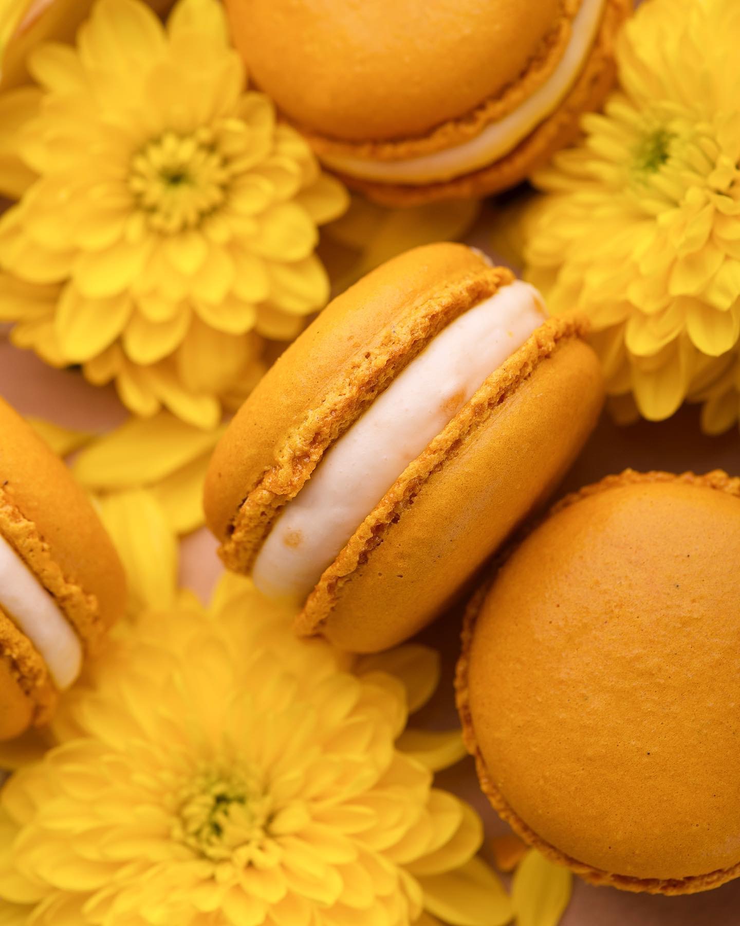 马卡龙的色调搭配