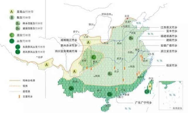 竹子的私密生活你了解吗