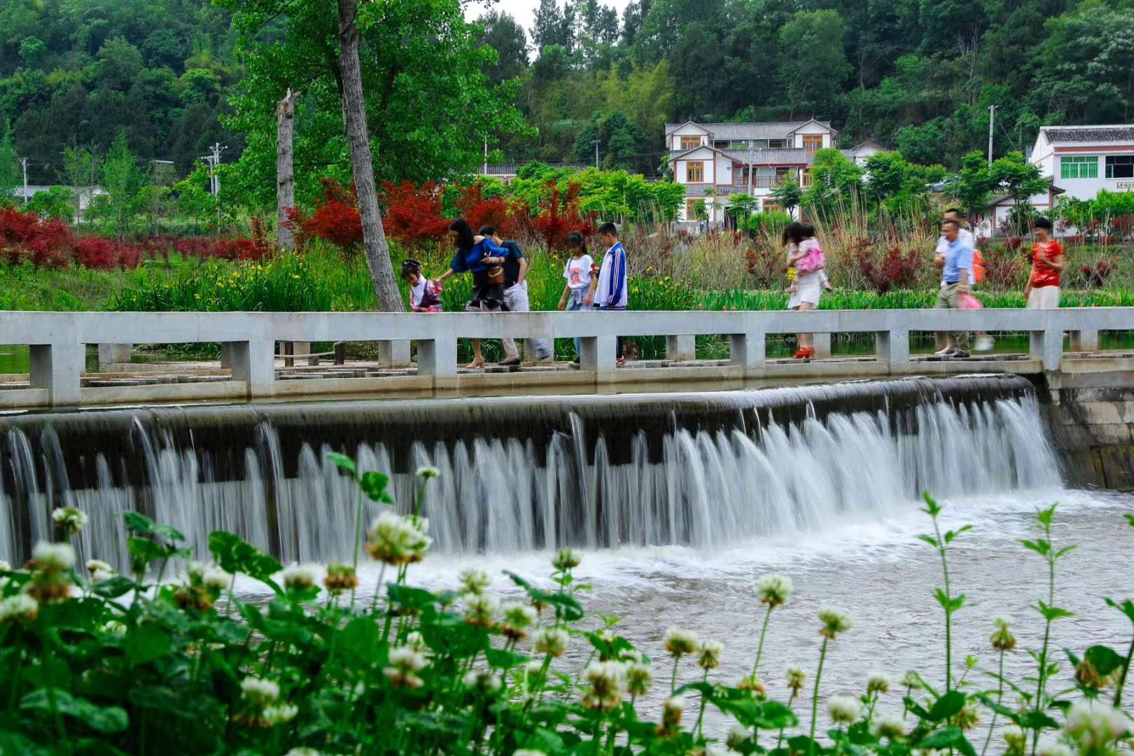 阆中五龙村图片