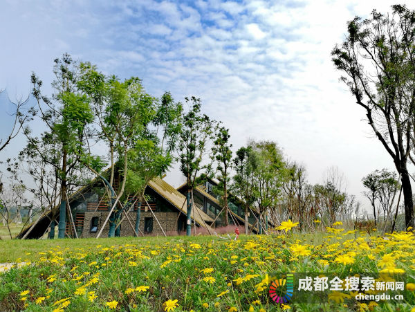 锦城绿道再添新公园中和湿地公园即将亮相