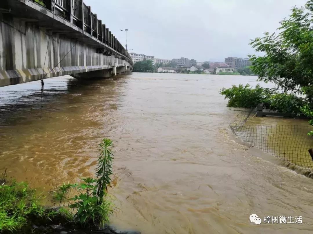 樟树挺住江西挺住暴雨袭击大江西多图现场实况展示含樟树