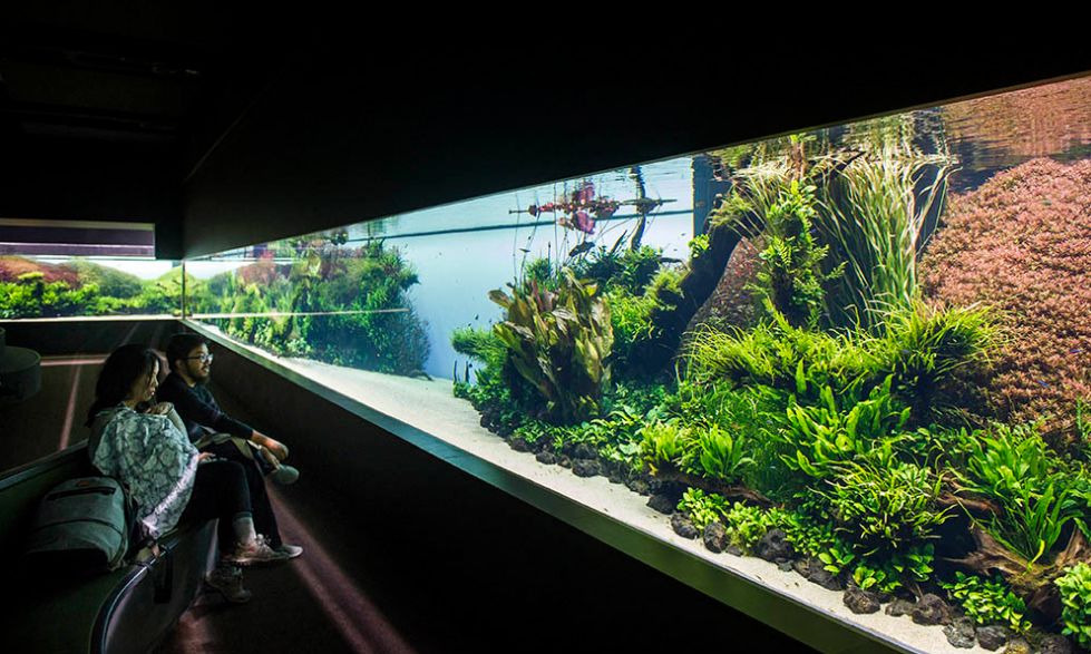 里斯本海洋水族馆除了天野尚那个40m大缸还有什么