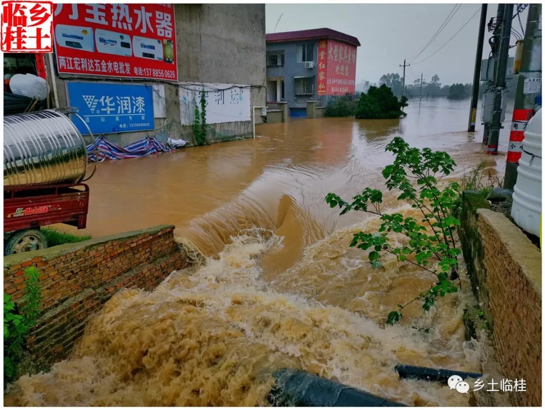 7月9日,由於上游黃沙,宛田,茶洞等山區普降暴雨,造成義江河水再次猛漲