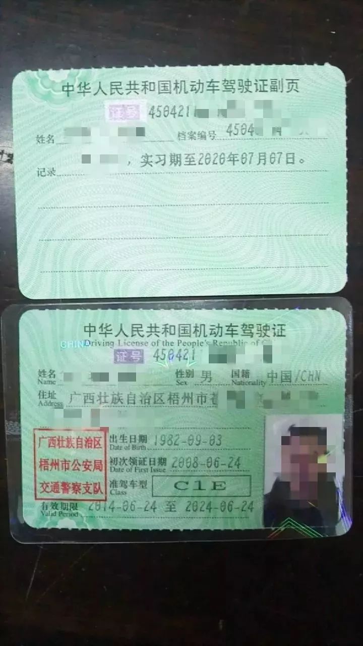 机动车驾驶证背面图片图片