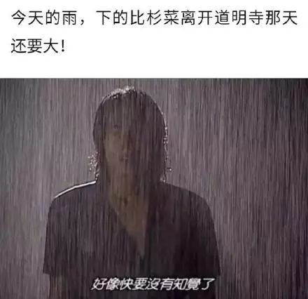 却不按兴冲冲赶回家准备吃饭你可能是这种↓一类没带伞的而被淋雨的又
