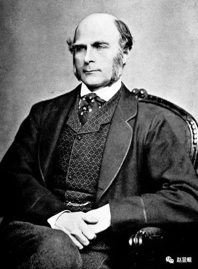 智商也要交遗产税为什么聪明人的孩子大多没那么聪明