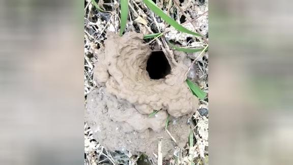 小时候的回忆,龙虾洞