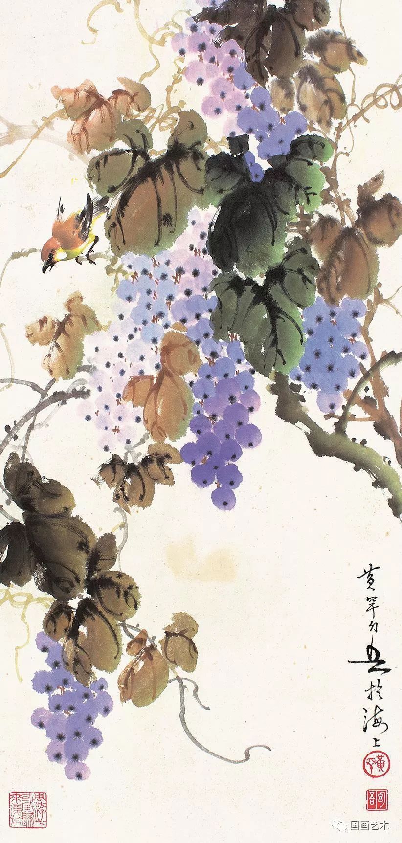 现当代名家黄幻吾笔下的葡萄小鸟