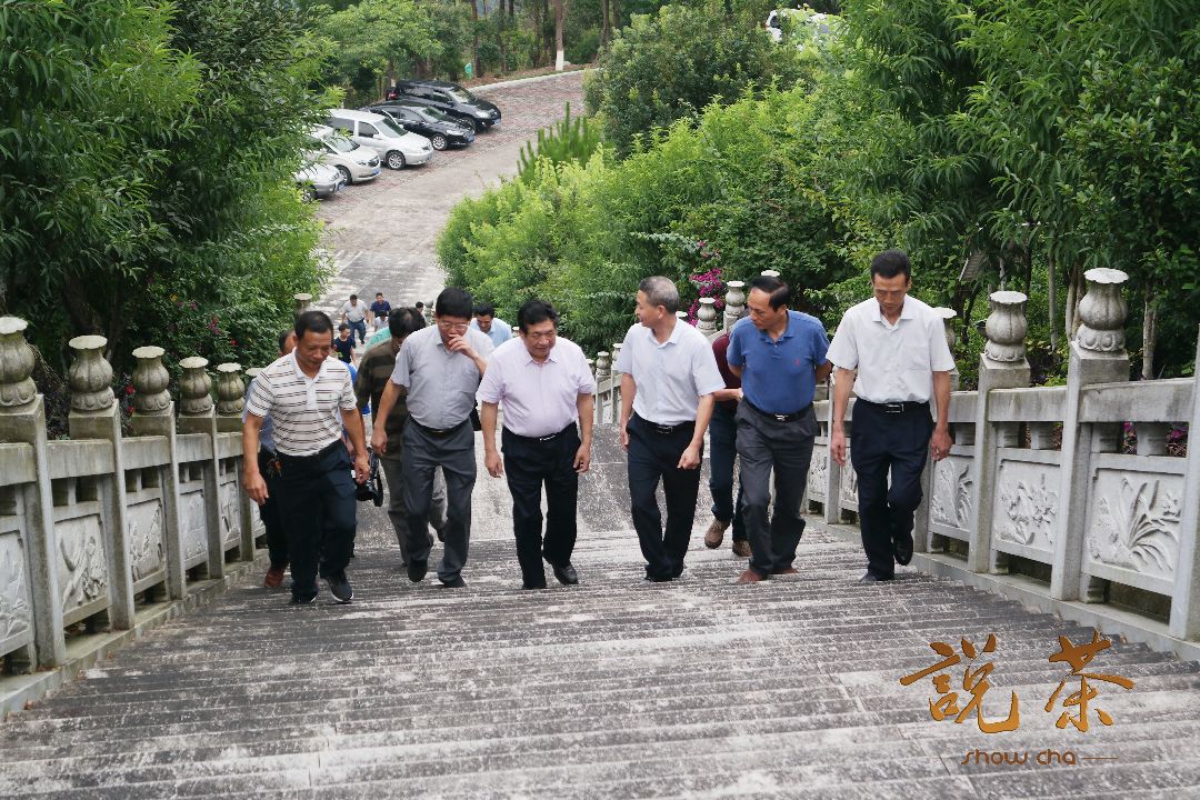 常务副会长庄洲全,副会长黄佩娜,华安县委书记朱百里,县长陈东海,组织