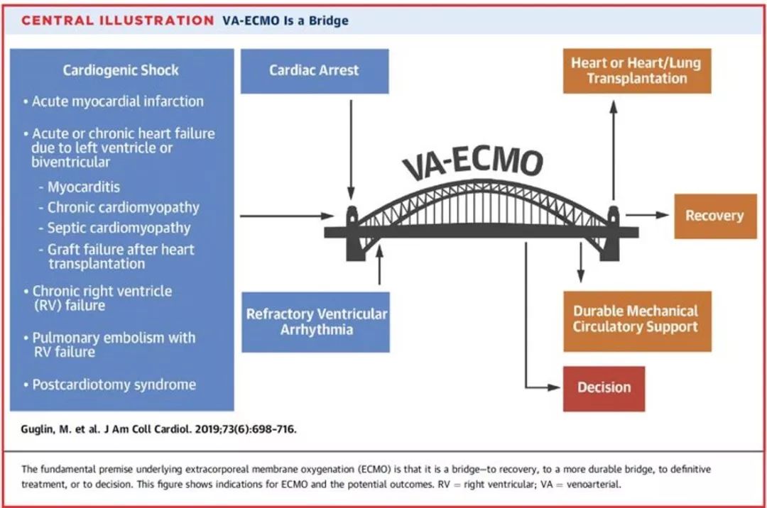 第二十三期ecmo临床应用与实践培训圆满落幕