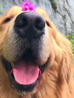 哈尼店长今天翘了半天班抖音小助手