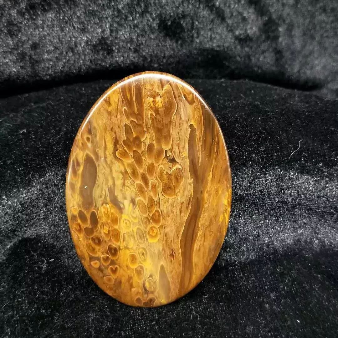 黑龙江桫椤玉――中国玉石市场的一匹黑马_化石